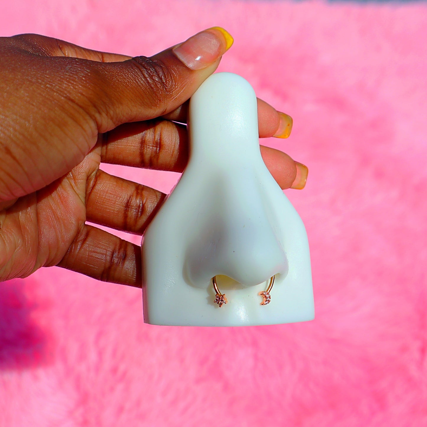 Magnetic Septum Ring.