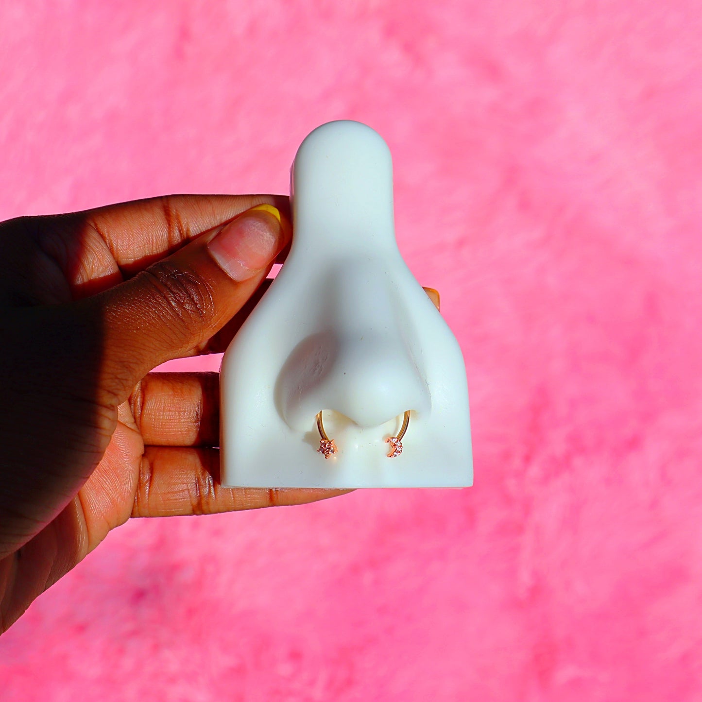 Magnetic Septum Ring.