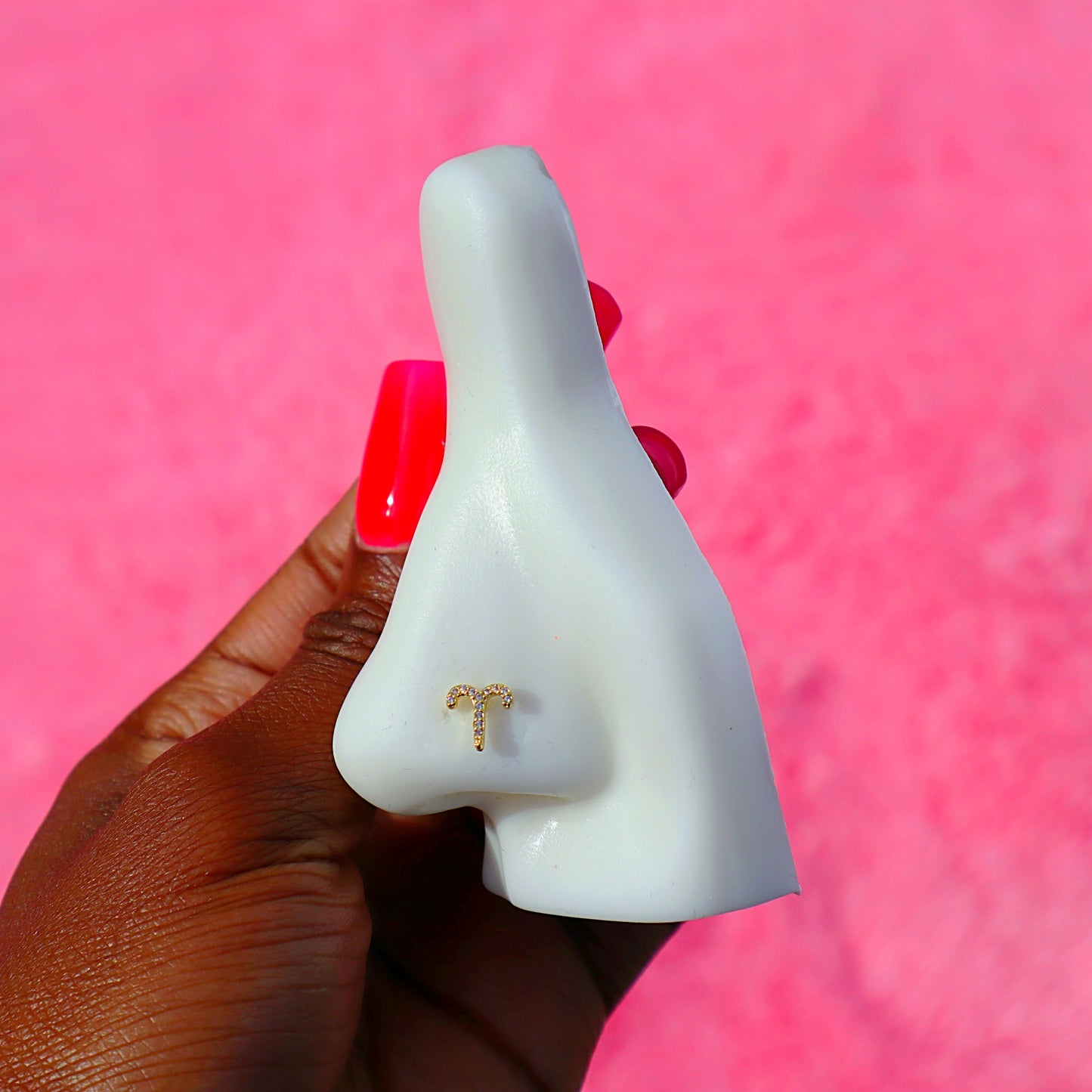 Zodiac Nose Rings