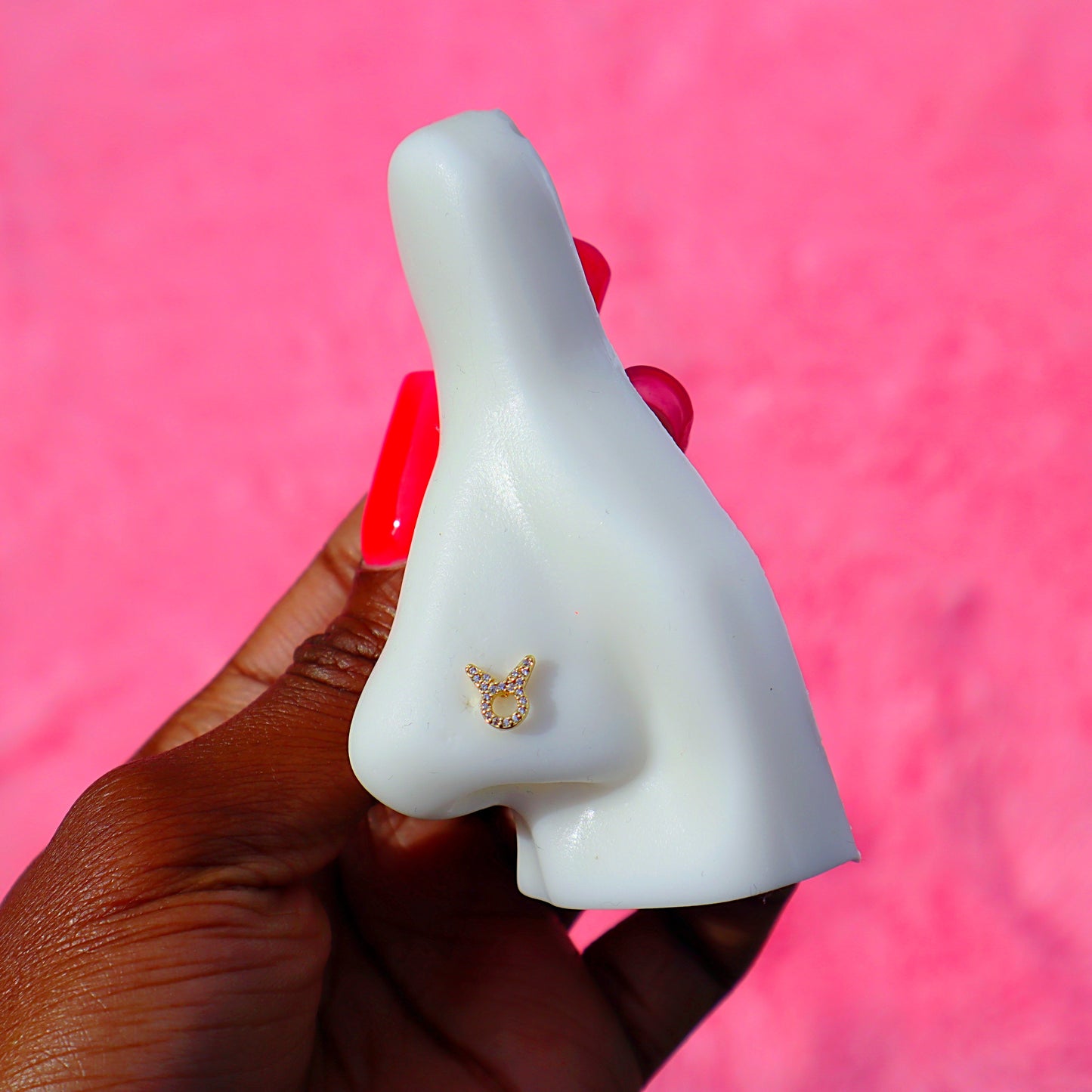 Zodiac Nose Rings