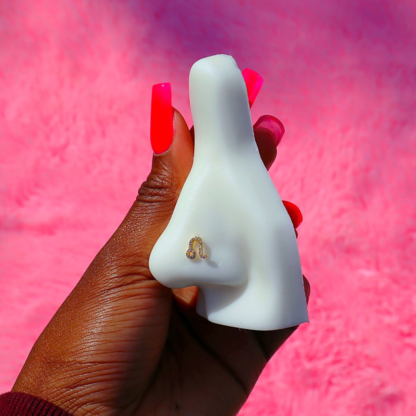 Zodiac Nose Rings