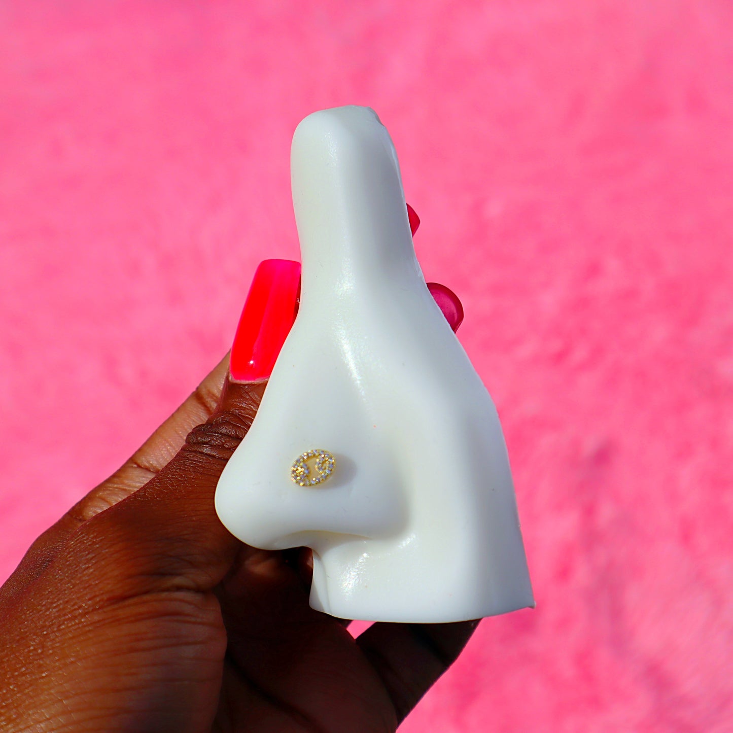 Zodiac Nose Rings