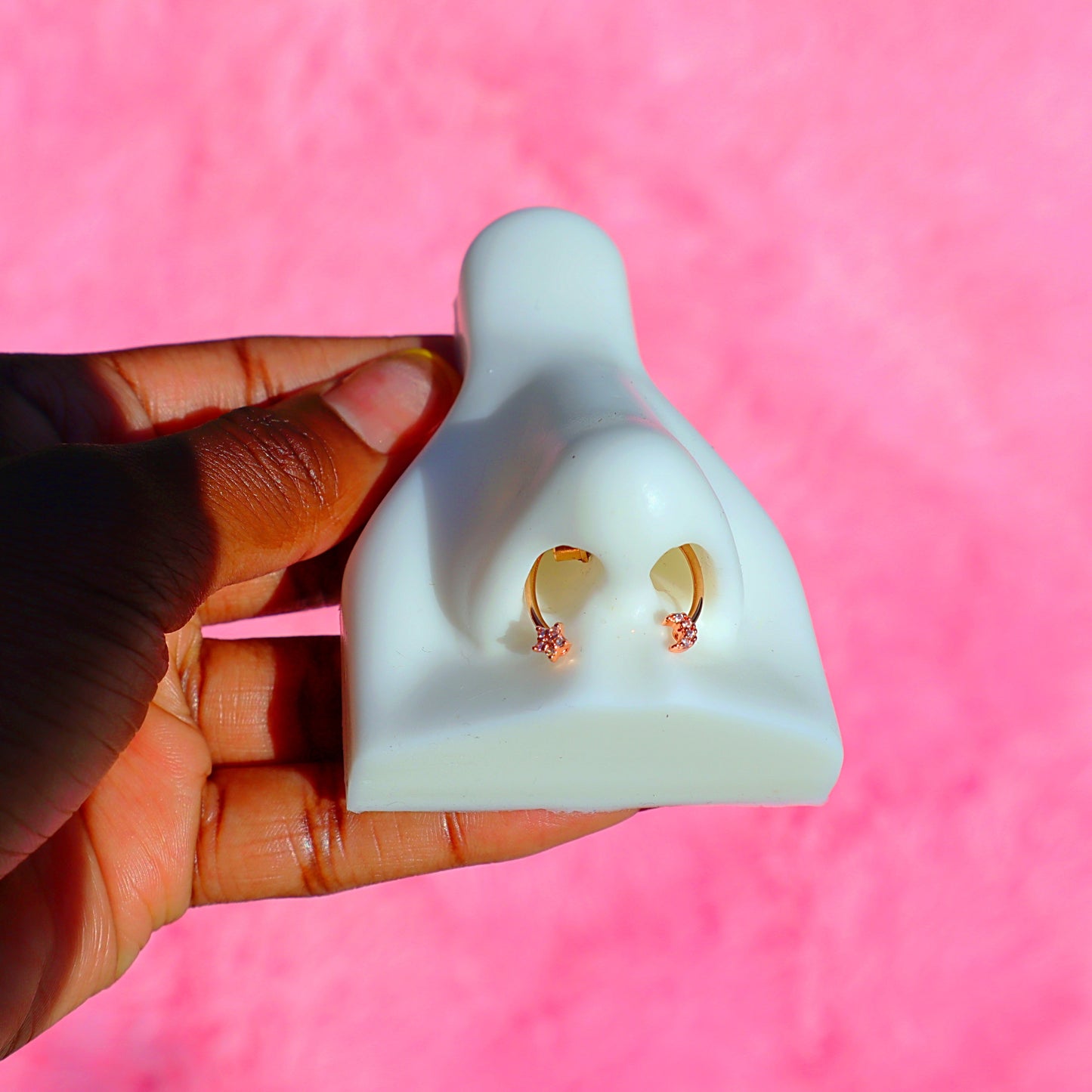 Magnetic Septum Ring.
