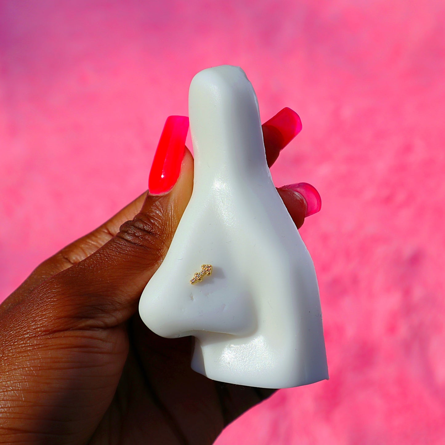 Zodiac Nose Rings