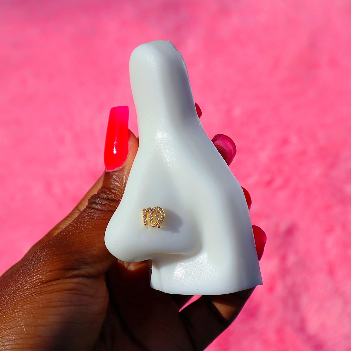 Zodiac Nose Rings