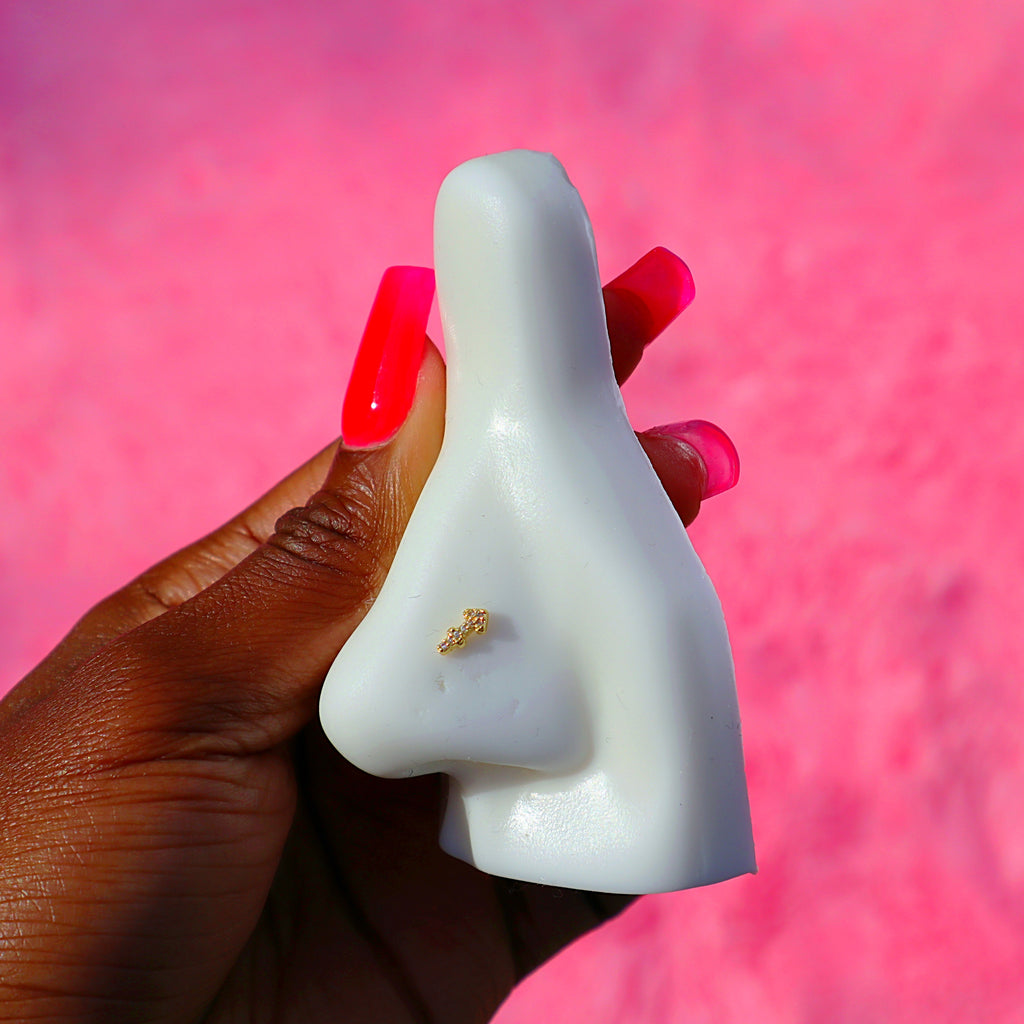 Zodiac Nose Rings