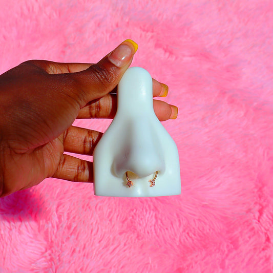 Magnetic Septum Ring.