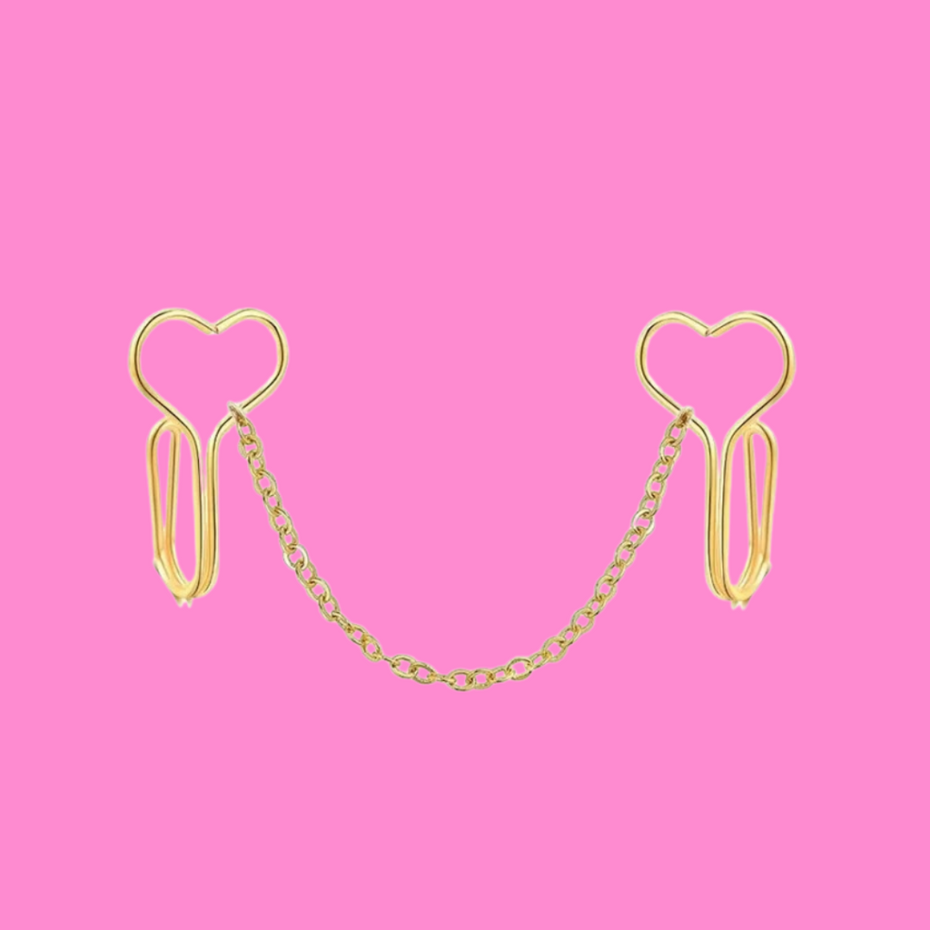 Fake Heart Nose Chain